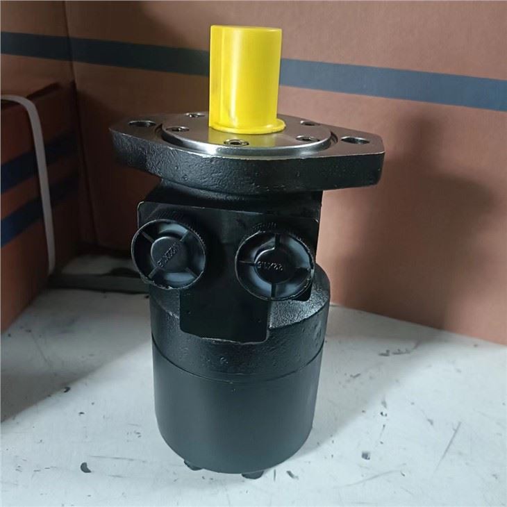 TK250 TK315 TK400 TK500 TK630 TK800 TK1000 Parker Motor TG TE TF TB TG TK TK1000T5640AAAB Orbital Motor TK1000K5640AAAA Cycloidal Hydraulic Motor For Drilling Rig